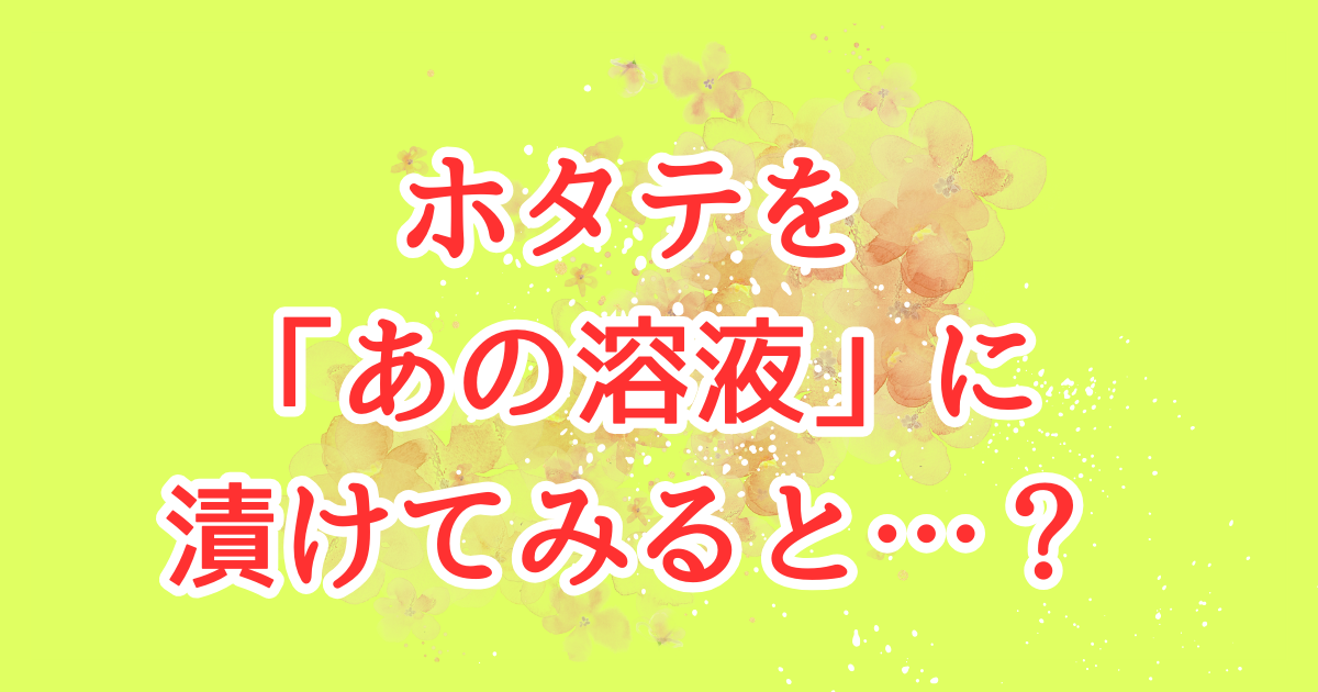 ホタテを「あの溶液」に漬けてみると？